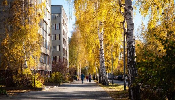 Бабье лето началось сегодня и продлится пять дней — к четвергу обещают до +25