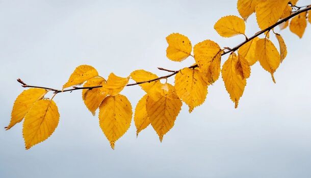 Новогодние каникулы 2027 продлятся 11 дней — а отпуск в январе и мае как был невыгодным, так и остался